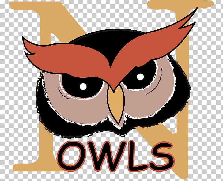 Owl National Primary School PNG, Clipart, Academy, Artwork, Beak, Bird, Bird Of Prey Free PNG Download