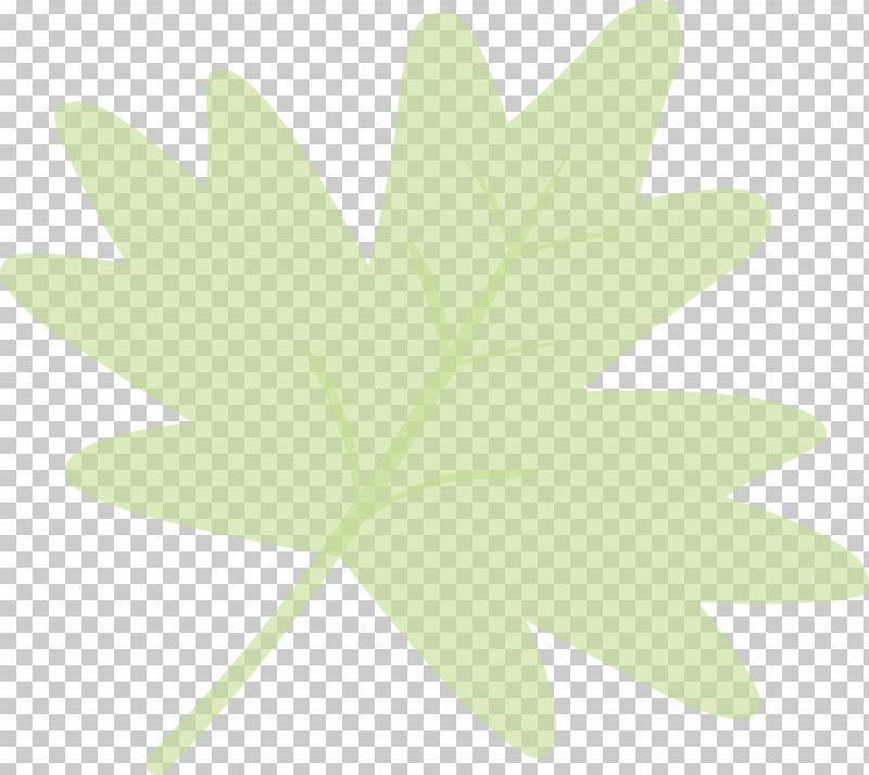 Maple Leaf PNG, Clipart, Flower, Green, Leaf, Maple Leaf, Plane Free PNG Download