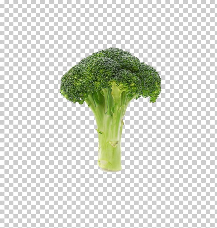 Broccoli Vegetable Icon PNG, Clipart, Brassica Oleracea, Broccoli, Broccoli 0 0 3, Broccoli Art, Broccoli Dog Free PNG Download