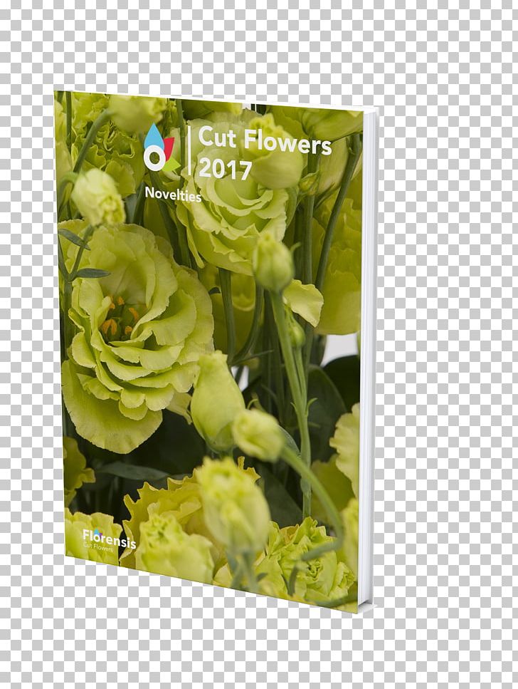 Floral Design Cut Flowers Petal PNG, Clipart, Cut Flowers, Floral Design, Floristry, Flower, Flower Arranging Free PNG Download