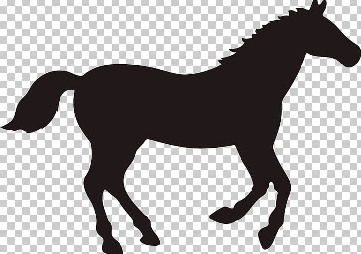 Rocky Mountain Horse Graphics Black PNG, Clipart, Animals, Black, Black And White, Bridle, Colt Free PNG Download