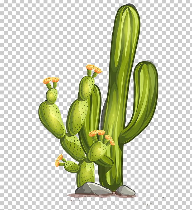 Gobi Desert Cactaceae Euclidean PNG, Clipart, Amphibian, Background Green, Banana, Cactus, Cartoon Free PNG Download