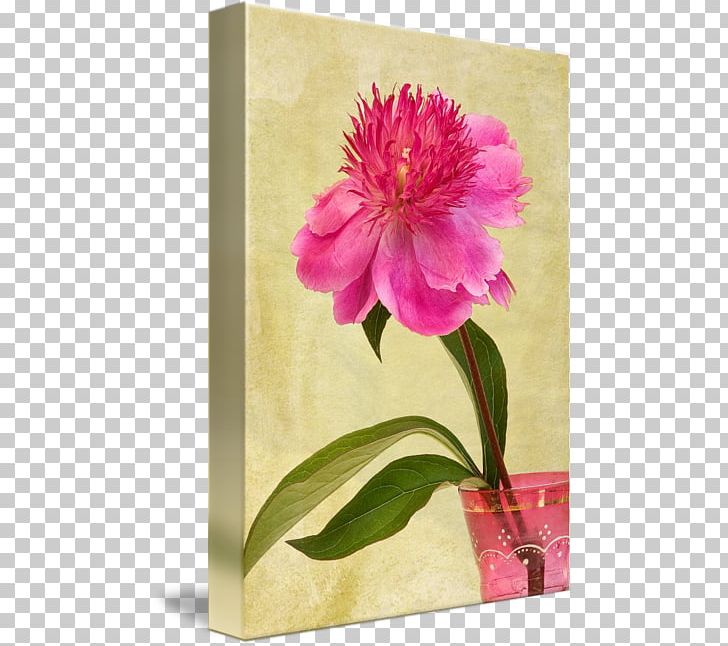 Peony Still Life Photography Floral Design PNG, Clipart, Family, Family Film, Flora, Floral Design, Flower Free PNG Download