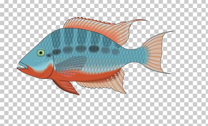 Tropical Fish PNG, Clipart, Animal, Animals, Animation, Beauty, Beauty Salon Free PNG Download