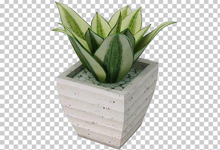 Vipers Bowstring Hemp Paper Model Ornamental Plant PNG, Clipart, Aloe, Animals, Canon, Ceramic, Flower Free PNG Download