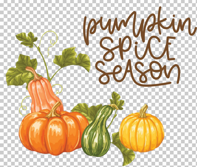 Autumn Pumpkin Spice Season Pumpkin PNG, Clipart, Autumn, Gourd, Pumpkin, Royaltyfree, Squash Free PNG Download
