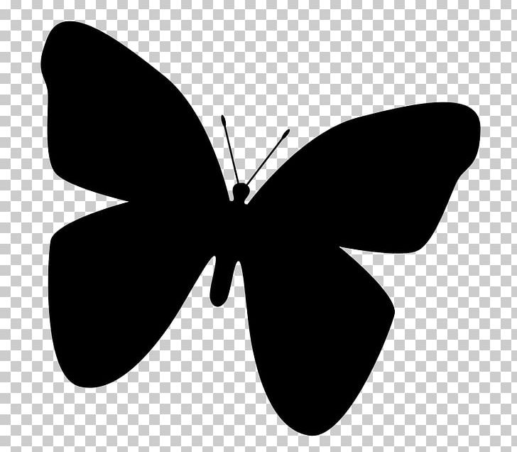 Butterfly Insect Silhouette PNG, Clipart, Beat, Black, Black And White, Brush Footed Butterfly, Butterfly Free PNG Download