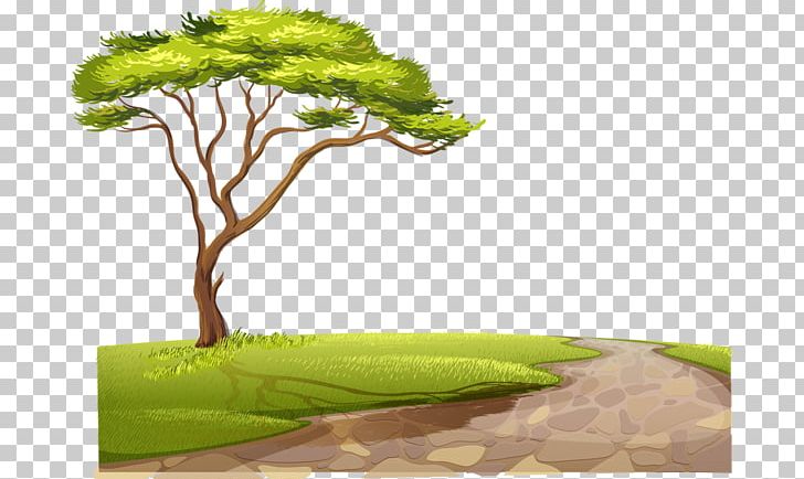 Fauna Of Africa Lion PNG, Clipart, Asphalt Road, Big, Big Tree, Country, Elephant Free PNG Download