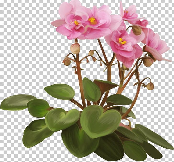 Flowerpot Violet Houseplant PNG, Clipart, Benzersiz, Blume, Flora, Flower, Flowering Plant Free PNG Download