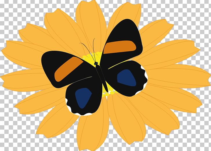 Monarch Butterfly Common Sunflower PNG, Clipart, Arthropod, Brush Footed Butterfly, Color, Common Sunflower, Daisy Family Free PNG Download