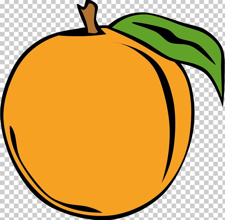 Peach Computer Icons PNG, Clipart, Apple, Artwork, Calabaza, Clip, Commodity Free PNG Download