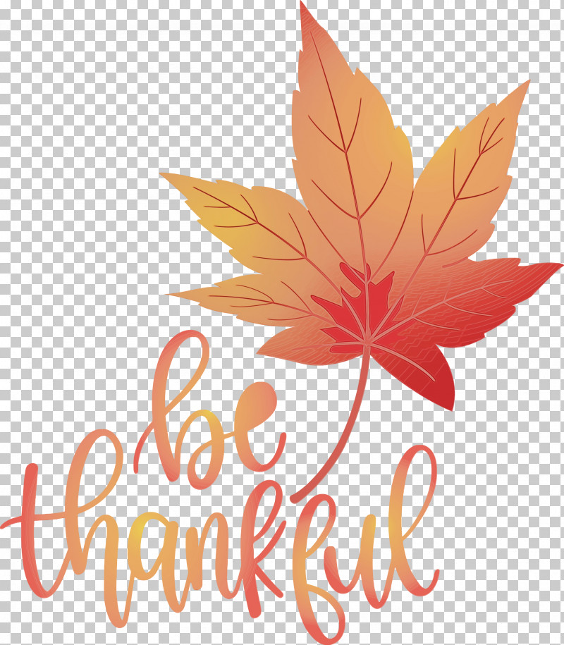 Maple Leaf PNG, Clipart, Be Thankful, Flower, Geometry, Give Thanks, Leaf Free PNG Download