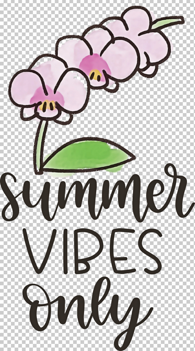 Summer Vibes Only Summer PNG, Clipart, Cut Flowers, Flora, Floral Design, Flower, Meter Free PNG Download