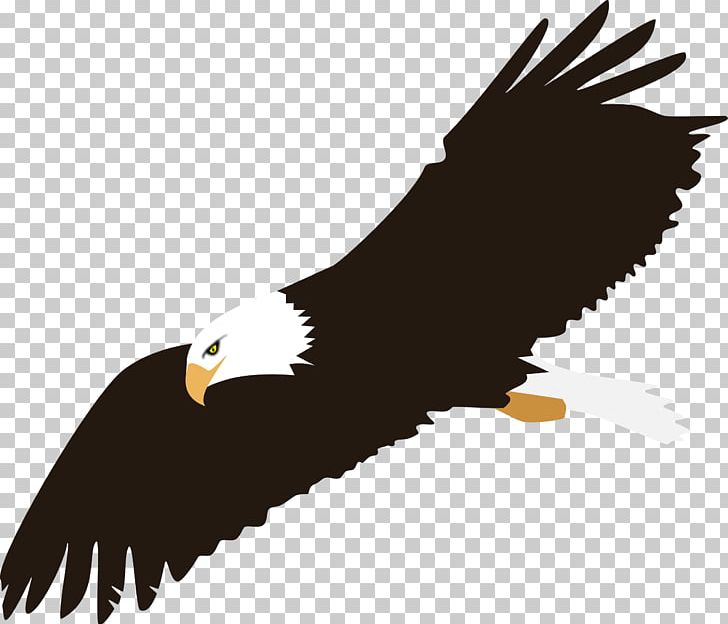 Bald Eagle Computer Icons PNG, Clipart, Accipitriformes, Background, Bald Eagle, Beak, Bird Free PNG Download