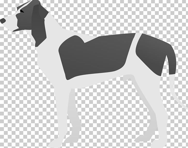 Italian Greyhound American Foxhound Chihuahua Irish Wolfhound Dog Breed PNG, Clipart, American Foxhound, Animal, Black, Breed, Canidae Free PNG Download