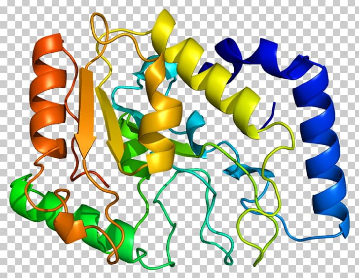 Uracil-DNA Glycosylase Base Excision Repair PNG, Clipart, Area, Artwork, Base Excision Repair, Beta Sheet, Conserved Sequence Free PNG Download