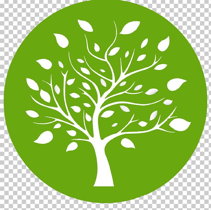 Value Tree Av S.A Investment Fund Price Finance PNG, Clipart, Area, Branch, Circle, Errenta Aldakor, Flora Free PNG Download