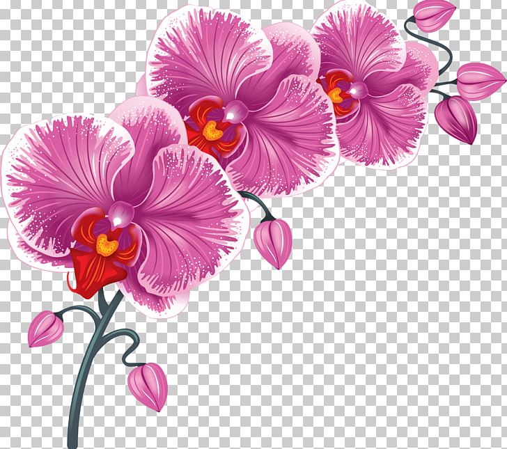 Desktop Flower PNG, Clipart, Cut Flowers, Desktop Wallpaper, Download, Encapsulated Postscript, Floral Design Free PNG Download