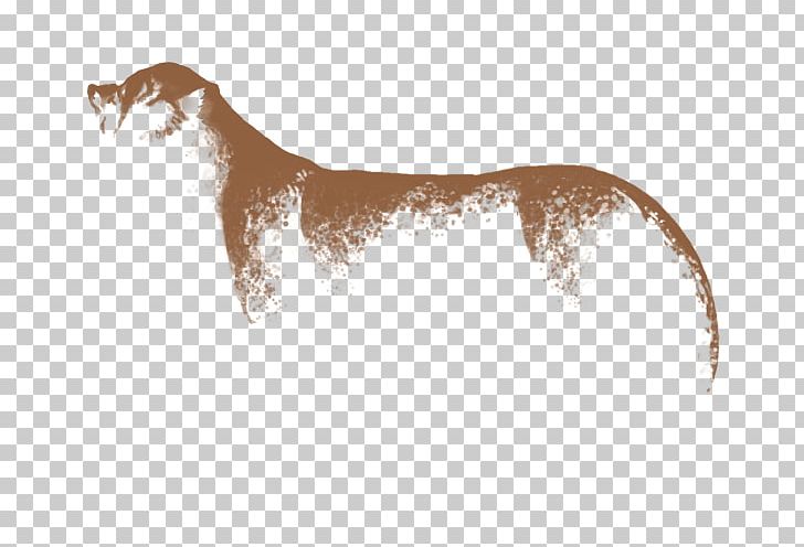 Dog Breed Italian Greyhound Wildlife PNG, Clipart, Breed, Carnivoran, Dog, Dog Breed, Dog Like Mammal Free PNG Download
