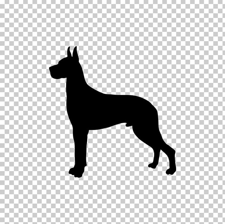 Great Dane Boxer Puppy Newfoundland Dog Greyhound PNG, Clipart, Black, Black And White, Boxer, Breed, Carnivoran Free PNG Download