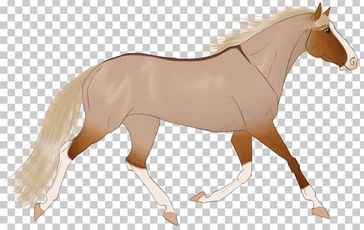 Mane Mustang Stallion Mare Rein PNG, Clipart, Mane, Mare, Mustang, Rein, Stallion Free PNG Download