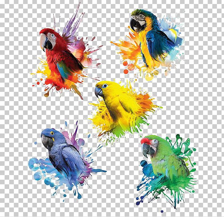Parrot Blue-and-yellow Macaw Red-and-green Macaw Great Green Macaw PNG, Clipart, Animal, Bird, Christmas Decoration, Common Pet Parakeet, Computer Wallpaper Free PNG Download