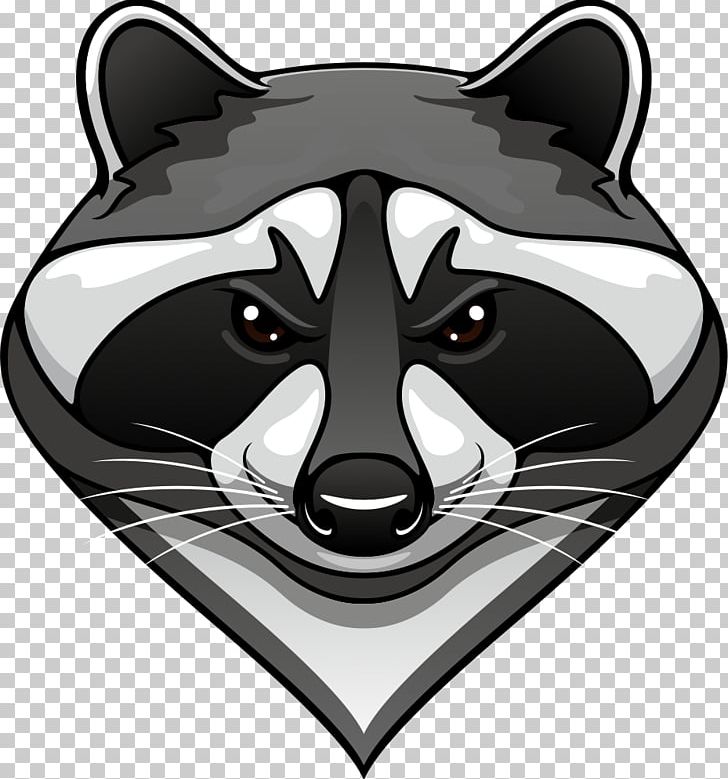 Raccoon PNG, Clipart, Bear, Black, Black And White, Can Stock Photo, Caricature Free PNG Download