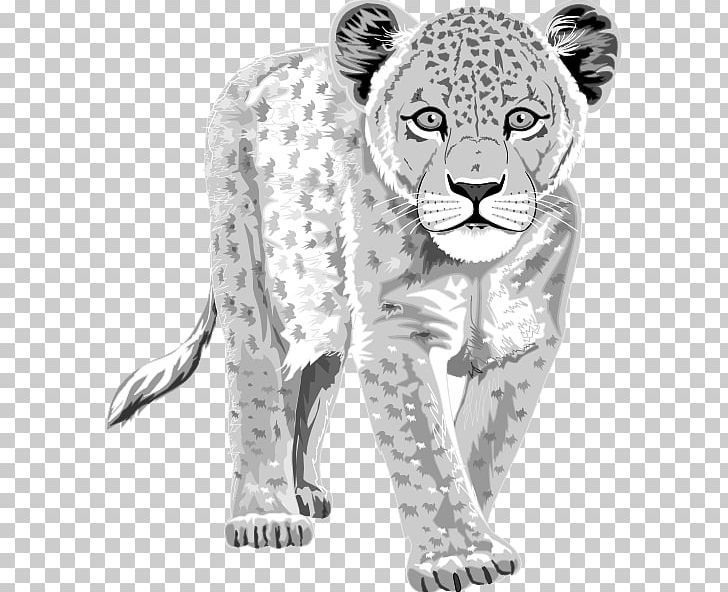 The Snow Leopard Tiger PNG, Clipart, Big Cats, Black And White, Carnivoran, Cat Like Mammal, Cheetah Free PNG Download