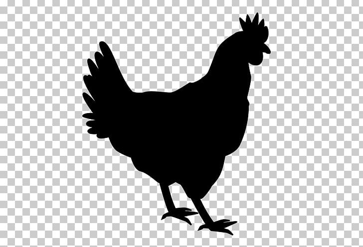 Chicken Rooster Wall Poultry Farming PNG, Clipart, Animals, Beak, Bird, Black And White, Chicken Free PNG Download