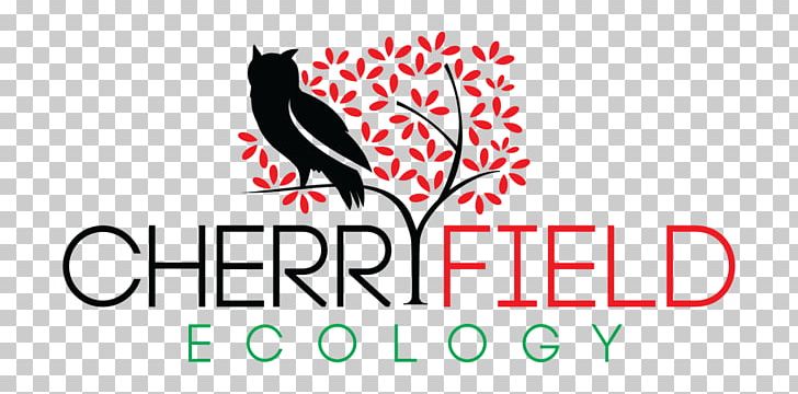 Logo Beak Graphic Design Brand PNG, Clipart, Area, Art, Artwork, Beak, Bird Free PNG Download