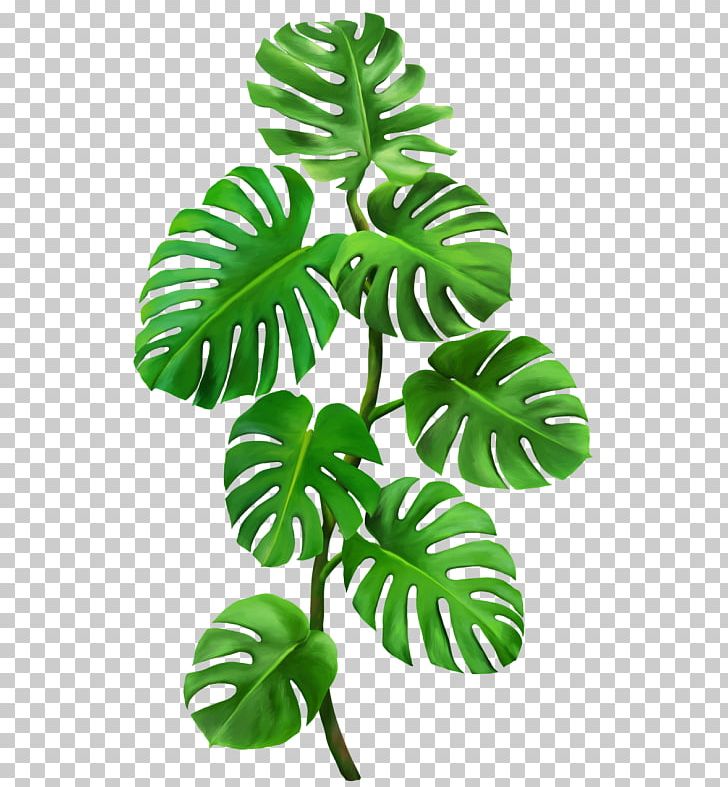 Plant Leaf PNG, Clipart, Aplant, Cartoon, Cizgi, Cizgi Karakter, Clip Art  Free PNG Download