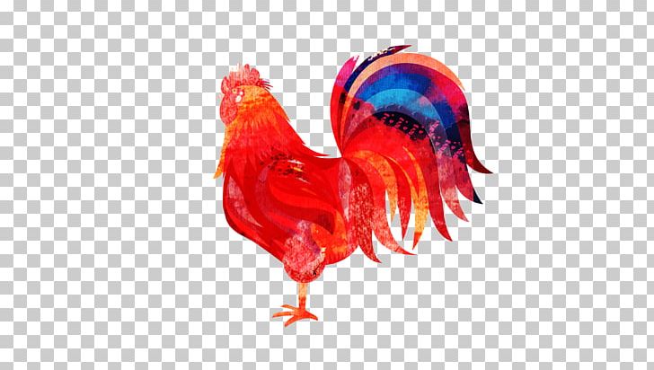 Chicken Rooster Zazzle PNG, Clipart, Advertising, Animals, Badminton Shuttle Cock, Beak, Big Cock Free PNG Download