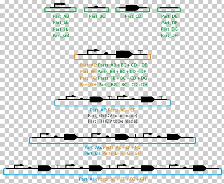 Document Organization Line Brand PNG, Clipart, Area, Brand, Diagram, Document, Drug Resistance Free PNG Download