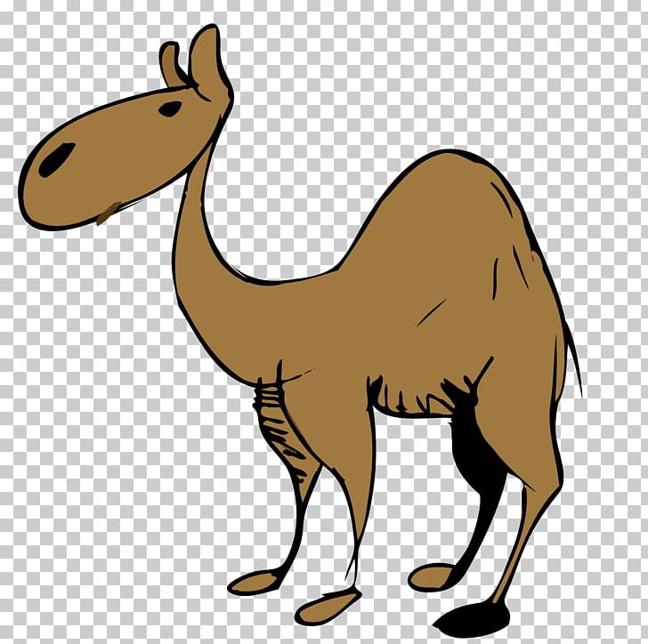 Dromedary Desert PNG, Clipart, Animals, Arabian Camel, Balloon Cartoon, Camel Like Mammal, Camel Vector Free PNG Download
