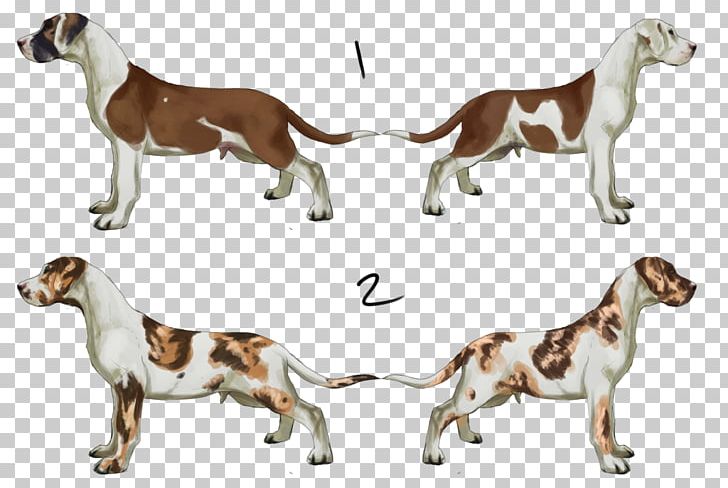 English Foxhound American Foxhound Harrier Beagle Dog Breed PNG, Clipart, American Bulldog, American Foxhound, Beagle, Breed, Carnivoran Free PNG Download