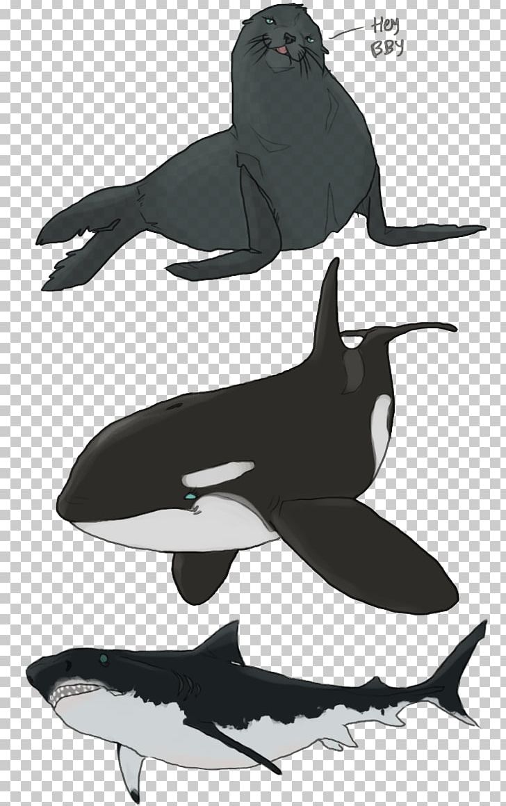 Killer Whale Dolphin Flightless Bird Beak PNG, Clipart, Beak, Bird, Black And White, Cartoon, Cetacea Free PNG Download