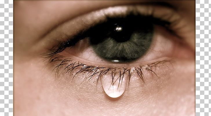 Tears Eye Crying Emotion Iris PNG, Clipart, Closeup, Crying, Emotion, Eye, Eyebrow Free PNG Download