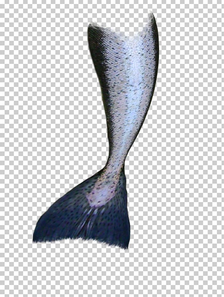 Mermaid Drawing Tail PNG, Clipart, Art, Brush, Clip Art, Drawing, Fairy Free PNG Download