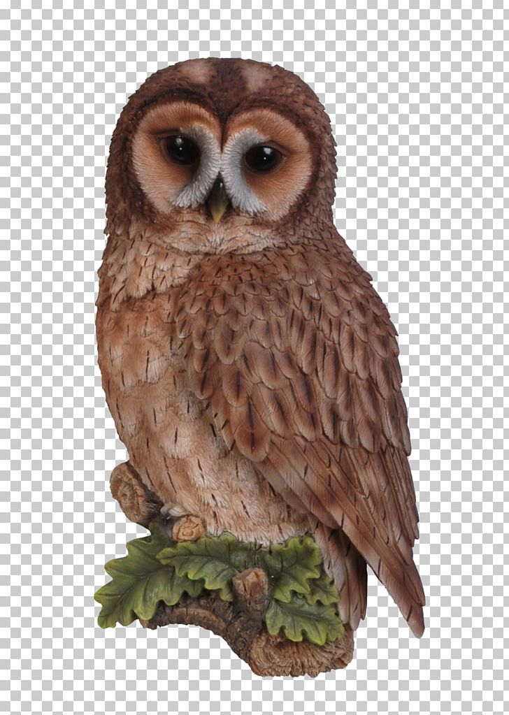 Tawny Owl Bird Long-eared Owl Wall PNG, Clipart, Animal, Animals, Barn Owl, Beak, Bird Free PNG Download