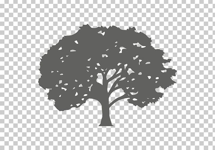 Tree Silhouette Red Maple PNG, Clipart, Black And White, Branch, Computer Wallpaper, Encapsulated Postscript, Label Free PNG Download