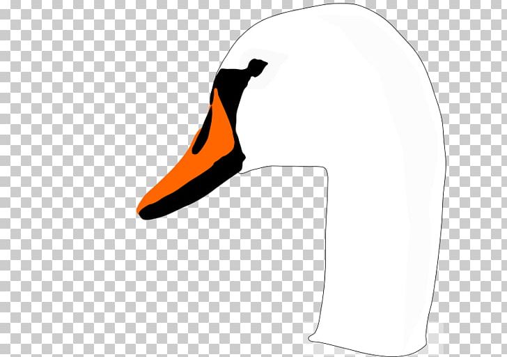 Bird Duck PNG, Clipart, Animals, Beak, Bird, Black Swan, Computer Icons Free PNG Download