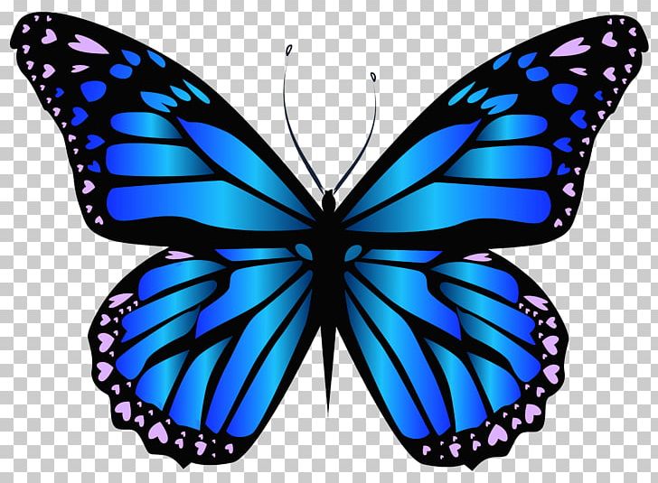Butterfly PNG, Clipart, Arthropod, Brush Footed Butterfly, Butterfly, Clip Art, Cobalt Blue Free PNG Download
