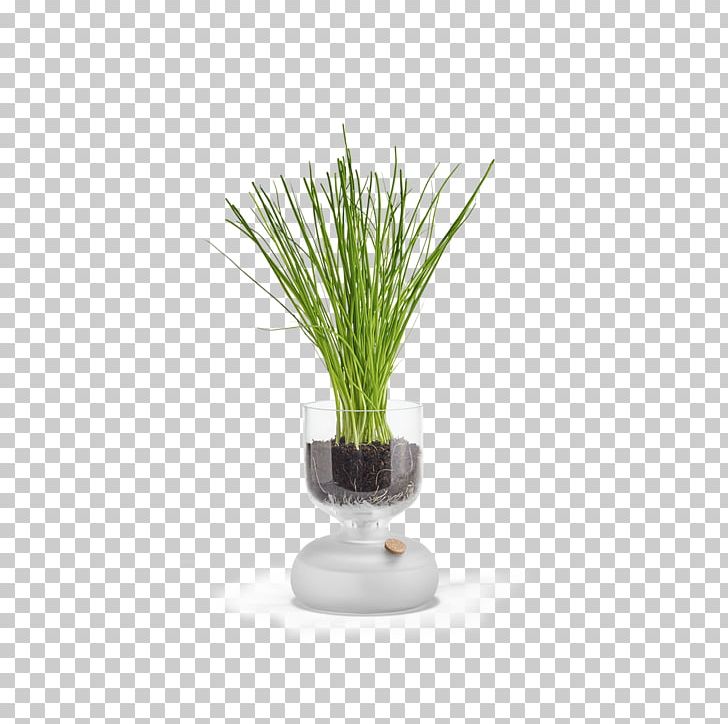 Holmegaard Glass Flowerpot Gaia Potting Soil PNG, Clipart, Carafe, Flower Box, Flowerpot, Frosted Glass, Gaia Free PNG Download