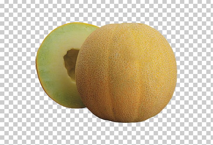 Honeydew Galia Melon Cantaloupe Food PNG, Clipart, Cantaloupe, Cucumber, Cucumber Gourd And Melon Family, Cucumis, Food Free PNG Download