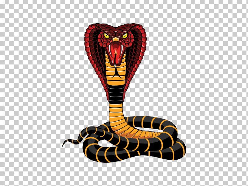 Snake Serpent King Cobra Reptile Elapidae PNG, Clipart, Animal Figure, Colubridae, Elapidae, Indian Cobra, King Cobra Free PNG Download