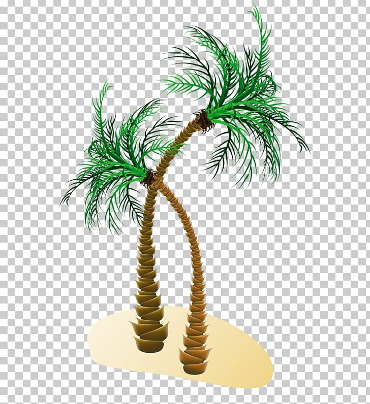 Arecaceae Tree PNG, Clipart, Arecaceae, Arecales, Coconut, Date Palm, Flowerpot Free PNG Download