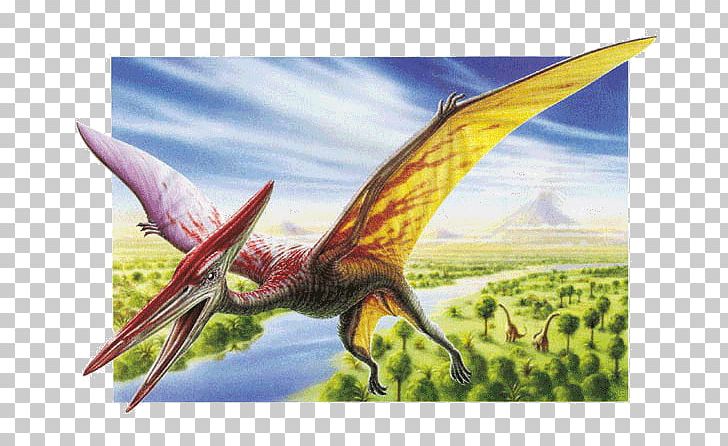 Pterodactyl Pteranodon Quetzalcoatlus Pterosaurs Dinosaur PNG, Clipart, Animal, Beak, Bird, Coloring Book, Cretaceous Free PNG Download