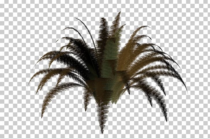 3D Computer Graphics Adobe Fireworks Arecaceae PNG, Clipart, 3d Computer Graphics, 3d Modeling, Adobe, Arecaceae, Arecales Free PNG Download