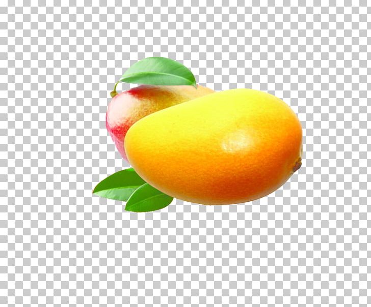 Ice Cream Juice Sorbet Coconut Water Mango Pomelo Sago PNG, Clipart, Citric Acid, Citrus, Computer Wallpaper, Cut Mango, Dried Mango Free PNG Download