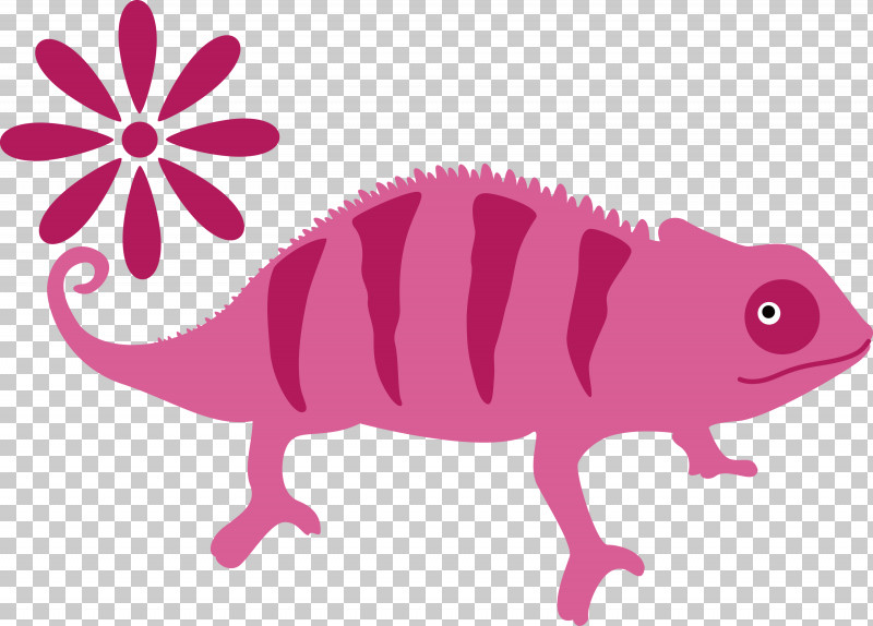 Chameleon PNG, Clipart, Chameleon, Snout Free PNG Download